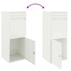 vidaXL Parcel Drop Box with Storage White 41 x 38 x 103 cm Steel