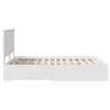 Product Thumbnail Image 9 of 14