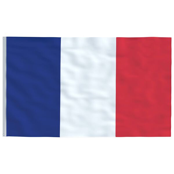 vidaXL France Flag and Pole 5.55 m Aluminium