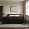 vidaXL Full Year Duvet Black 200 x 200 cm Microfiber and Teddy fleece