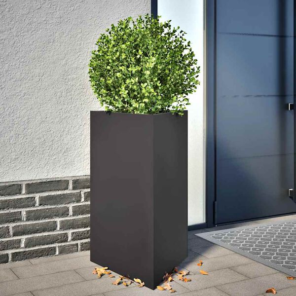 Showing Product Image 2 of 12