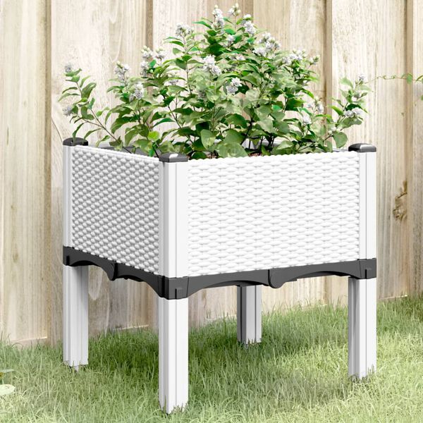 Showing Product Image 2 of 8