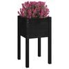 Product Thumbnail Image 3 of 7