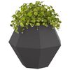 vidaXL Planter 2 pcs Black 75 x 75 x 60 cm Steel