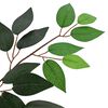 Product Thumbnail Image 4 of 6
