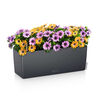 LECHUZA Planter Balconera Color 50 ALL-IN-ONE Slate 15673