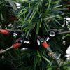 Product Thumbnail Image 7 of 8