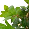 Product Thumbnail Image 2 of 2