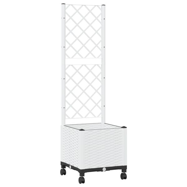 Showing Product Image 1 of 8