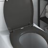 vidaXL Quick Release Toilet suitable for Seat Anthracite