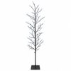 Black_cold_white