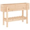 vidaXL Garden Raised Bed 101x30x69 cm Solid Wood Pine