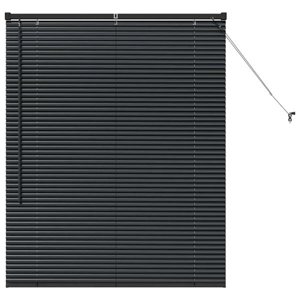vidaXL Window Blind with Curtains Manual Black Aluminium