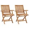 vidaXL Folding Chairs 2 pcs Solid Teak Wood