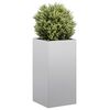 Product Thumbnail Image 2 of 10