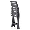 vidaXL Folding Garden Chairs 2 pcs Plastic Anthracite
