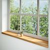 vidaXL Window Sills 2 pcs Light Brown 160x30x2 cm Solid Wood Oak