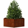 Product Thumbnail Image 7 of 11