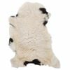 Product Thumbnail Image 10 of 11
