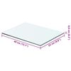 vidaXL Shelf Panel Glass Clear 40x25 cm