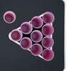 Product Thumbnail Image 7 of 7
