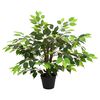 Product Thumbnail Image 3 of 6