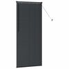vidaXL Window Blind with Curtains Manual Black Aluminium