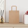 vidaXL Paper Bags 50 pcs with Handles Brown 18x8x22 cm