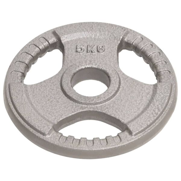 vidaXL Olympic Weight Plates 2 pcs 10 kg Cast Iron