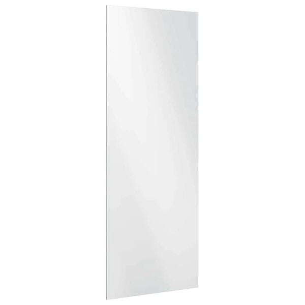vidaXL Wall Mirror Rectangular 40 x 100 cm Tempered Glass