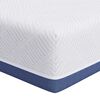 vidaXL Mattress White and Blue 100 x 200 cm Gel Memory Foam