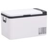 vidaXL Cool Box with Handle Black and White 25 L PP & PE