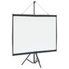 vidaXL Projection Screen with Tripod 72 Inch 4:3