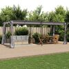 vidaXL Gazebo with Curtains 3x6 m Anthracite Steel