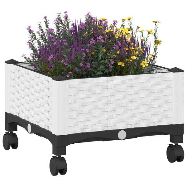 Showing Product Image 3 of 8