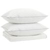vidaXL 90% Goose Down Duvet Set FULDA 3 pcs 140 x 220 cm Summer White