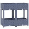 Blue_grey