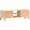 vidaXL TV Cabinet 120x30x40 cm Rough Mango Wood