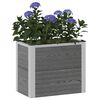 Product Thumbnail Image 3 of 10