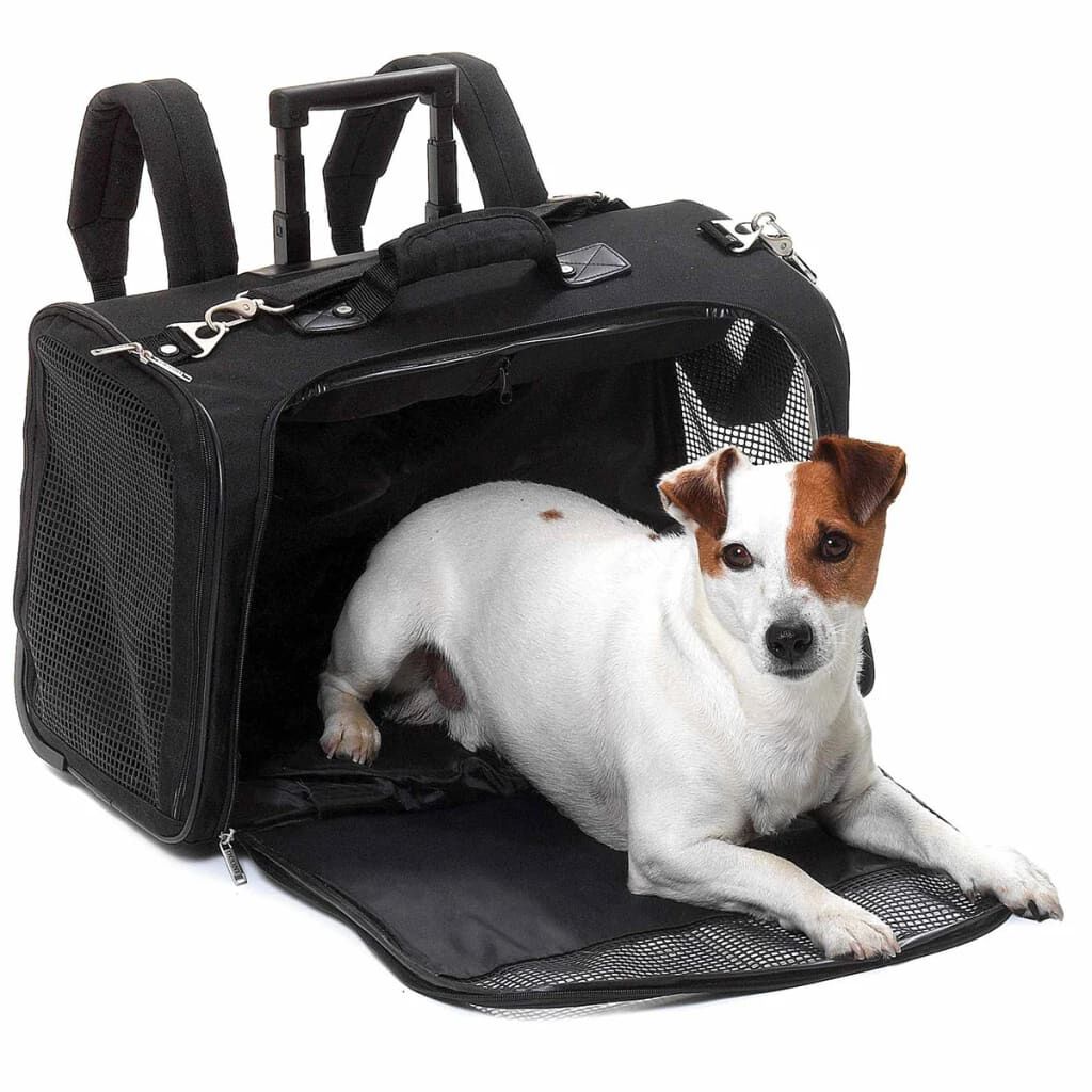 Pet outlet carry bag