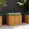 Product Thumbnail Image 2 of 7
