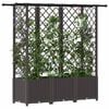 Product Thumbnail Image 3 of 8