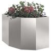 Product Thumbnail Image 3 of 12
