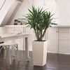 LECHUZA Planter Cubico Color 30 ALL-IN-ONE White 13130