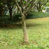 Product Thumbnail Image 2 of 7