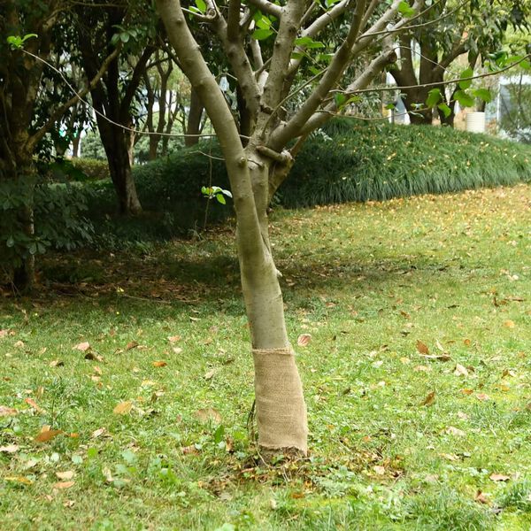 Showing Product Image 2 of 7