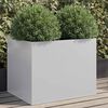 Product Thumbnail Image 2 of 12