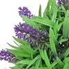 Product Thumbnail Image 3 of 3