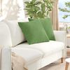 vidaXL Sofa Pillows 2 pcs Light Green 50 x 50 cm Corduroy Fabric