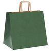 vidaXL Paper Bags 50 pcs with Handles Green 32x22x28 cm